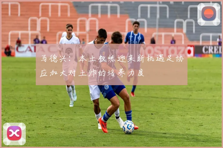 马德兴：本土教练迎来新机遇足协应加大对土帅的培养力度